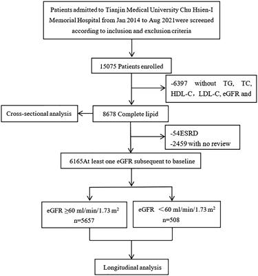 Association of remnant cholesterol with renal function and its progression in patients with type 2 diabetes related chronic kidney disease